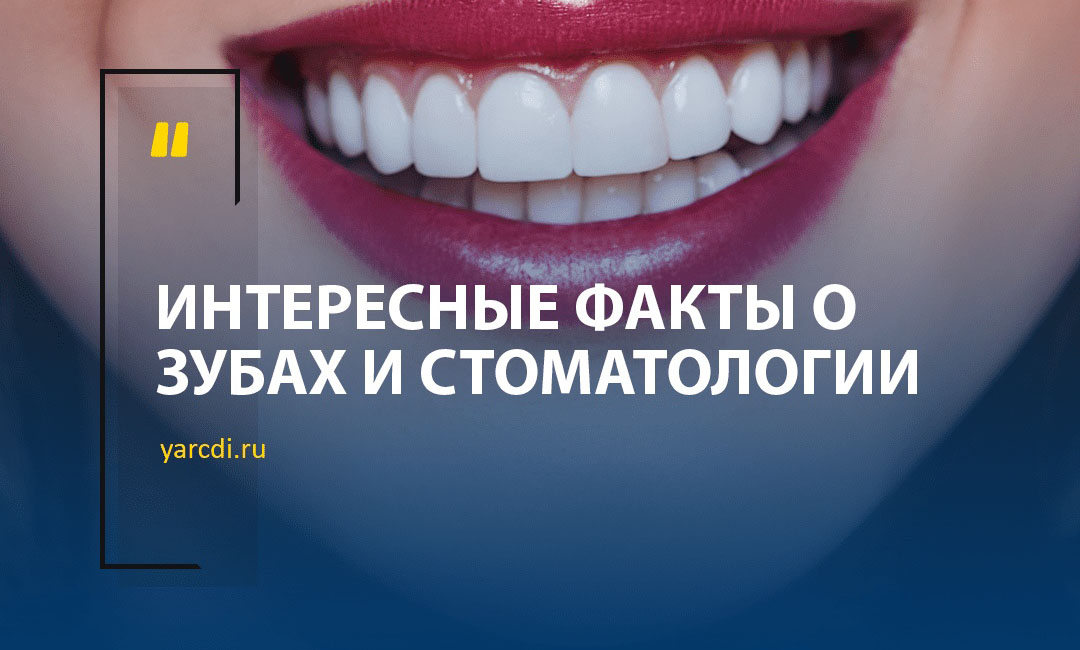 Интересные факты о зубах и стоматологии